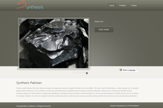 Synthesis Pakistan